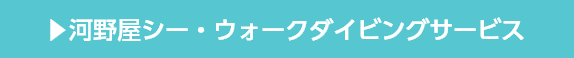 河野屋シー・ウォークダイビングサービス